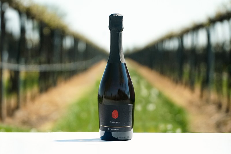 "PINOT NOIR" Vino spumante Brut