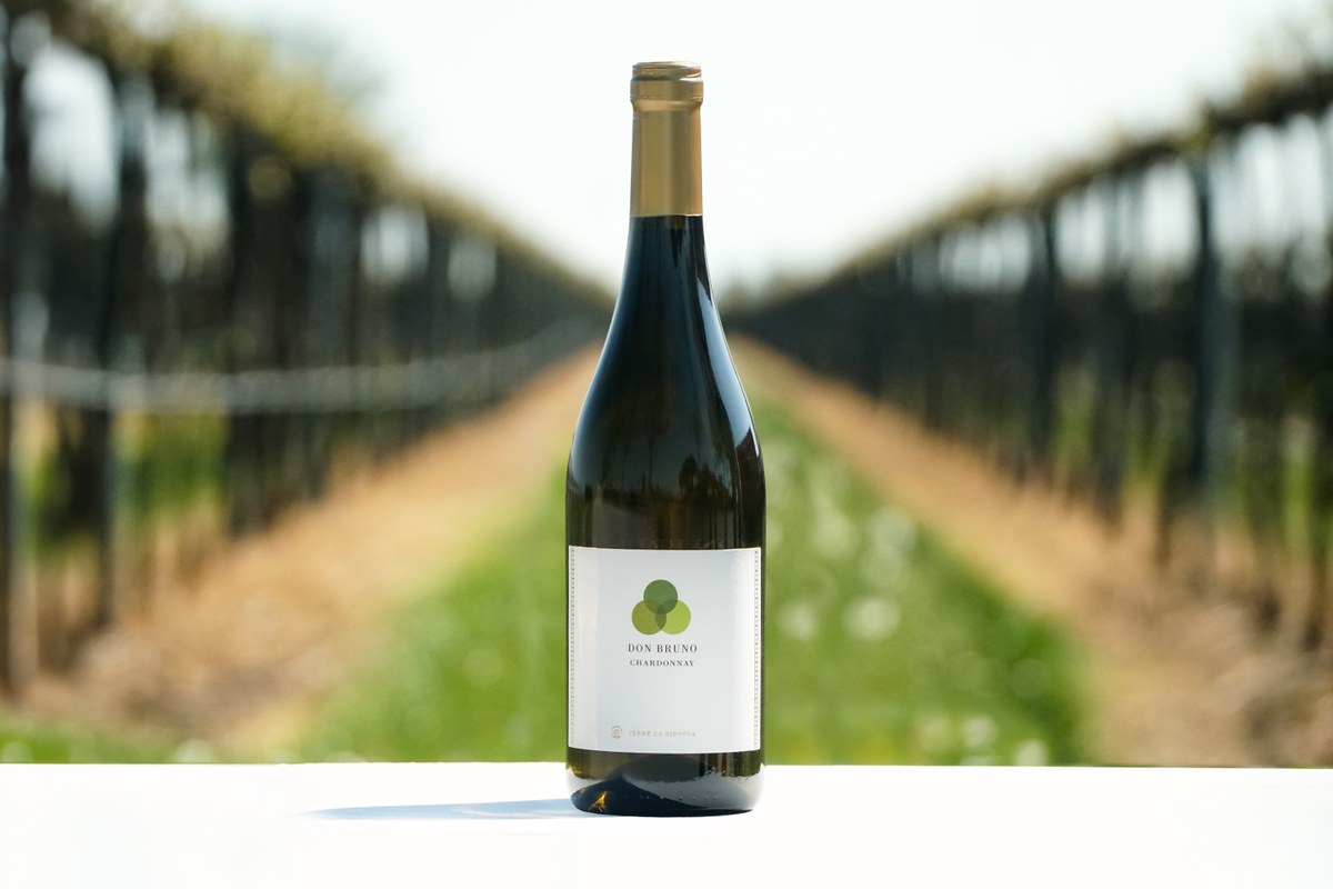 "DON BRUNO" Chardonnay